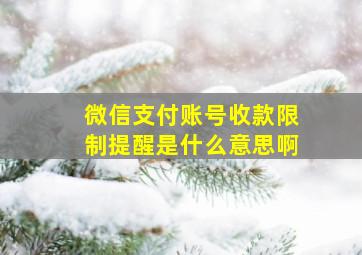 微信支付账号收款限制提醒是什么意思啊