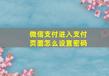 微信支付进入支付页面怎么设置密码