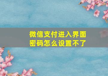 微信支付进入界面密码怎么设置不了