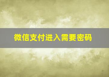 微信支付进入需要密码