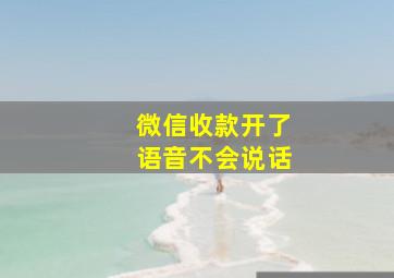 微信收款开了语音不会说话