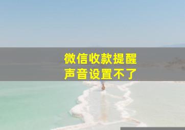 微信收款提醒声音设置不了