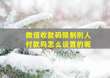 微信收款码限制别人付款吗怎么设置的呢