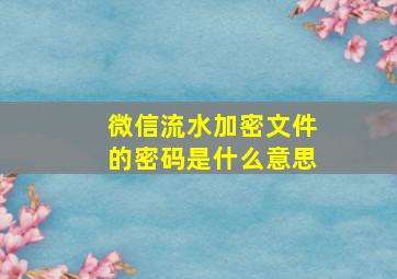 微信流水加密文件的密码是什么意思