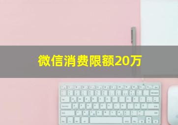 微信消费限额20万