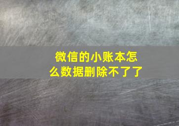 微信的小账本怎么数据删除不了了