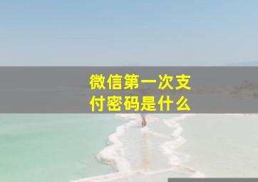 微信第一次支付密码是什么