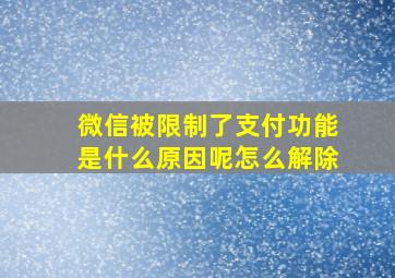 微信被限制了支付功能是什么原因呢怎么解除