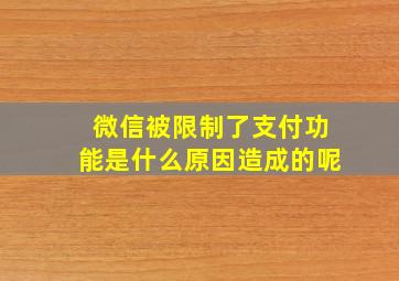 微信被限制了支付功能是什么原因造成的呢