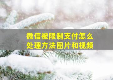 微信被限制支付怎么处理方法图片和视频