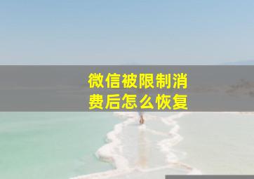 微信被限制消费后怎么恢复