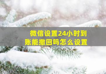 微信设置24小时到账能撤回吗怎么设置