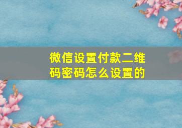 微信设置付款二维码密码怎么设置的