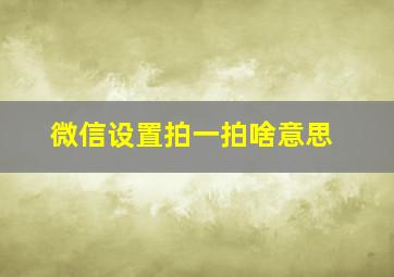 微信设置拍一拍啥意思