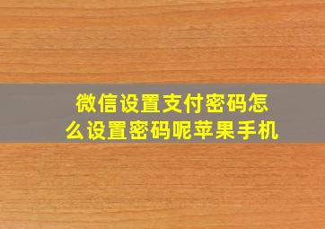 微信设置支付密码怎么设置密码呢苹果手机