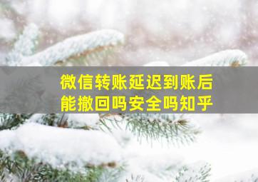 微信转账延迟到账后能撤回吗安全吗知乎