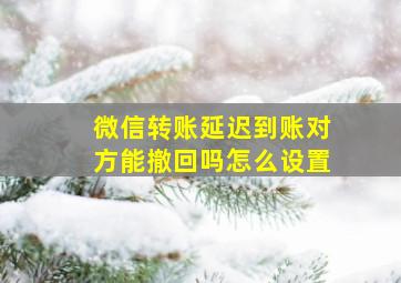 微信转账延迟到账对方能撤回吗怎么设置