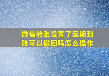 微信转账设置了延期到账可以撤回吗怎么操作