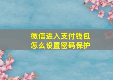 微信进入支付钱包怎么设置密码保护