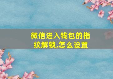 微信进入钱包的指纹解锁,怎么设置