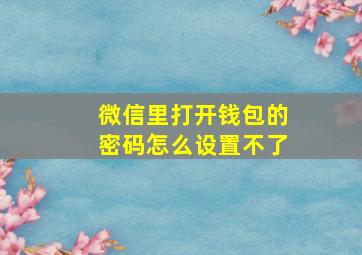 微信里打开钱包的密码怎么设置不了