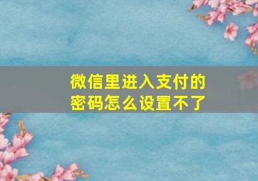 微信里进入支付的密码怎么设置不了