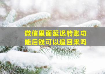 微信里面延迟转账功能后钱可以追回来吗