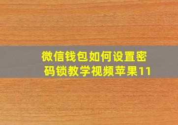 微信钱包如何设置密码锁教学视频苹果11