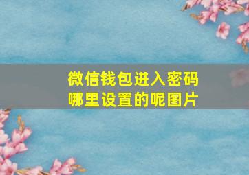 微信钱包进入密码哪里设置的呢图片