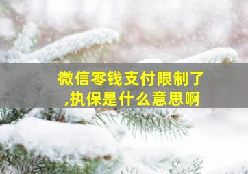 微信零钱支付限制了,执保是什么意思啊