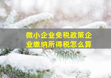 微小企业免税政策企业缴纳所得税怎么算