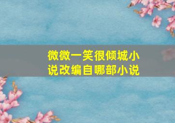 微微一笑很倾城小说改编自哪部小说