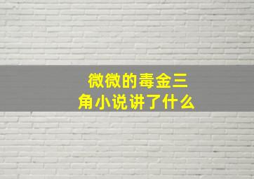 微微的毒金三角小说讲了什么