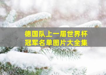 德国队上一届世界杯冠军名单图片大全集