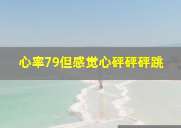 心率79但感觉心砰砰砰跳