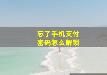 忘了手机支付密码怎么解锁