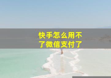 快手怎么用不了微信支付了