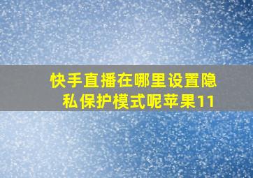 快手直播在哪里设置隐私保护模式呢苹果11