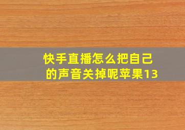 快手直播怎么把自己的声音关掉呢苹果13