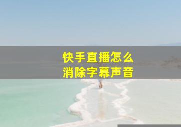 快手直播怎么消除字幕声音