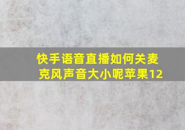 快手语音直播如何关麦克风声音大小呢苹果12