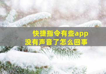 快捷指令有些app没有声音了怎么回事