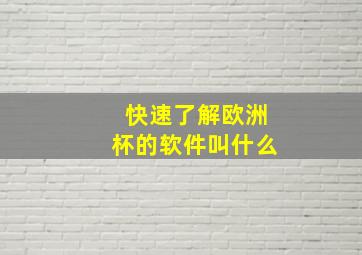 快速了解欧洲杯的软件叫什么