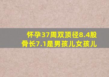 怀孕37周双顶径8.4股骨长7.1是男孩儿女孩儿