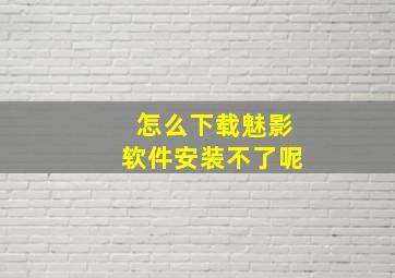 怎么下载魅影软件安装不了呢