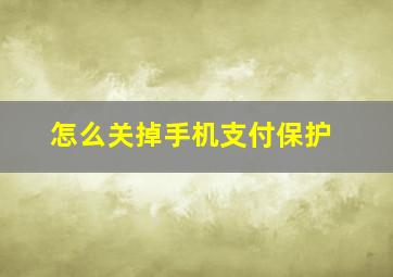 怎么关掉手机支付保护