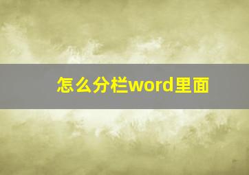 怎么分栏word里面