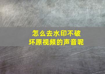 怎么去水印不破坏原视频的声音呢