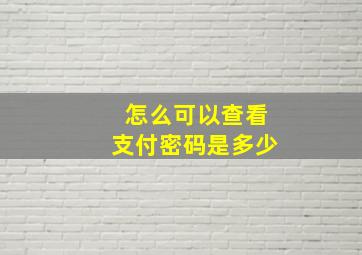 怎么可以查看支付密码是多少