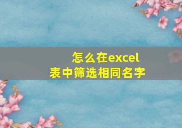 怎么在excel表中筛选相同名字